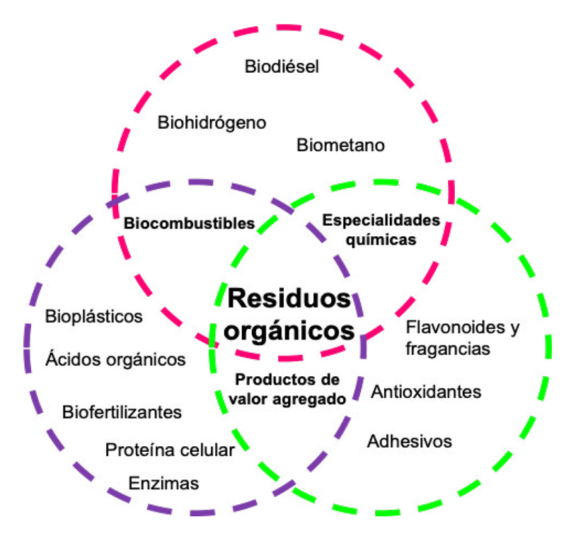 Figura 1. Bioconversión de residuos orgánicos y sus productos.