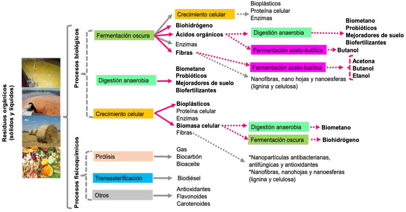 Figura 2. Procesos para la conversión de residuos orgánicos en biocombustibles y productos de valor agregado