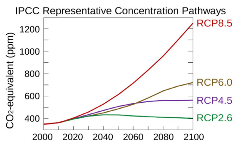 Caminos representativos de concentración de CO2