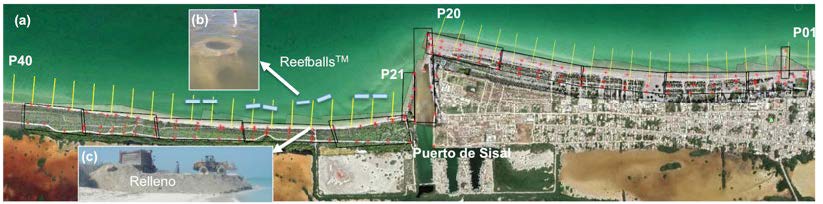 Figura 2. Posición de los perfiles de playa levantados en Sisal (amarillo), los polígonos de los vuelos (cuadros negros y puntos de control en rojo) y la ubicación de los ReefballsTM (líneas en azul claro). Modificada de Franklin et. al. (2021)