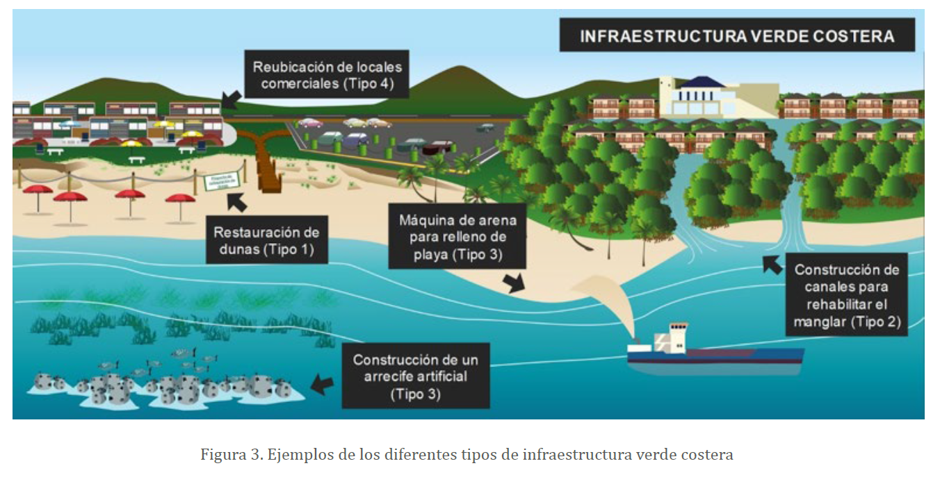 Figura 3. Ejemplos de los diferentes tipos de infraestructura verde costera