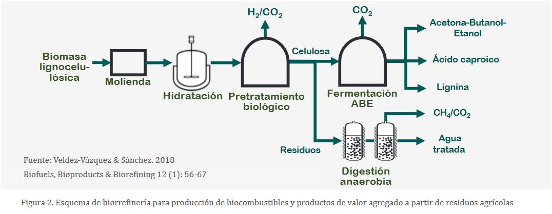 bioal_02.JPG