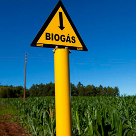 Producción de biogás a partir de la fracción orgánica de residuos sólidos urbanos (FORSU) 