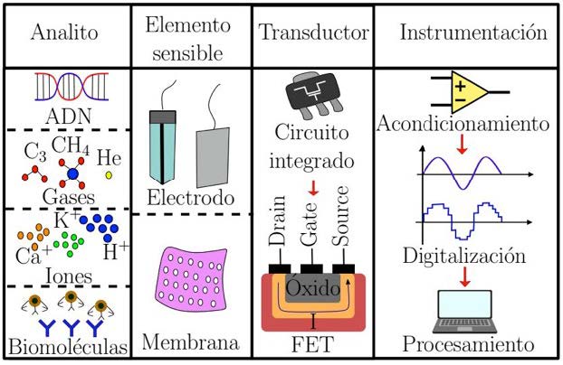 Figura 1