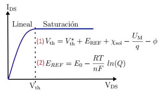 Figura 3