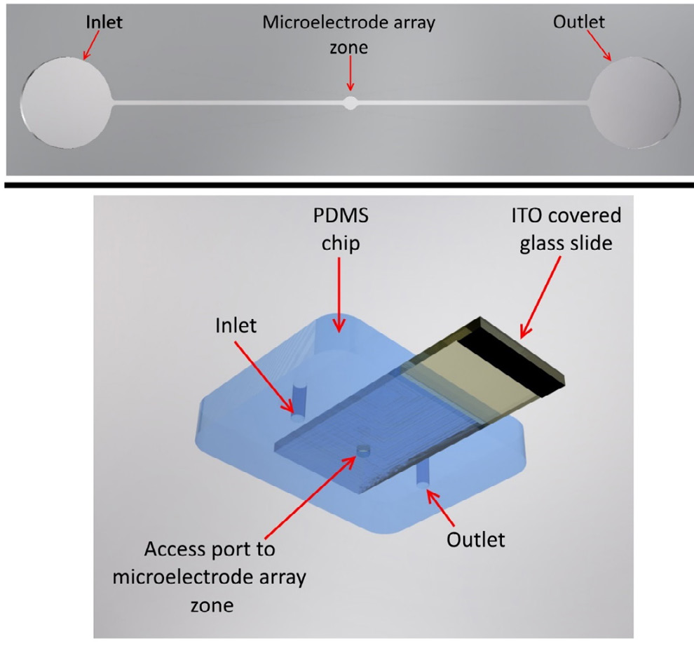 Fig. 1. Plano esquemático (izquierda) y reproducción digital de un dispositivo BioMEMS que incorpora microfluídica (derecha) . Módulo empleado en un dispositivo para la micromanipulación de biopartículas. Dimensiones en mm.