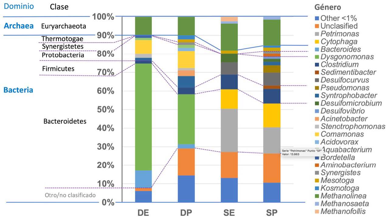 Figura 4. Caracterización microbiana de los reactores para la reducción biológica de antimonio. DE: Reactor desasimilatorio empaque; DP: Desasimilatorio purga (efluente del reactor); SE: Sulfato reducción empaque; SP: Sulfato reducción purga