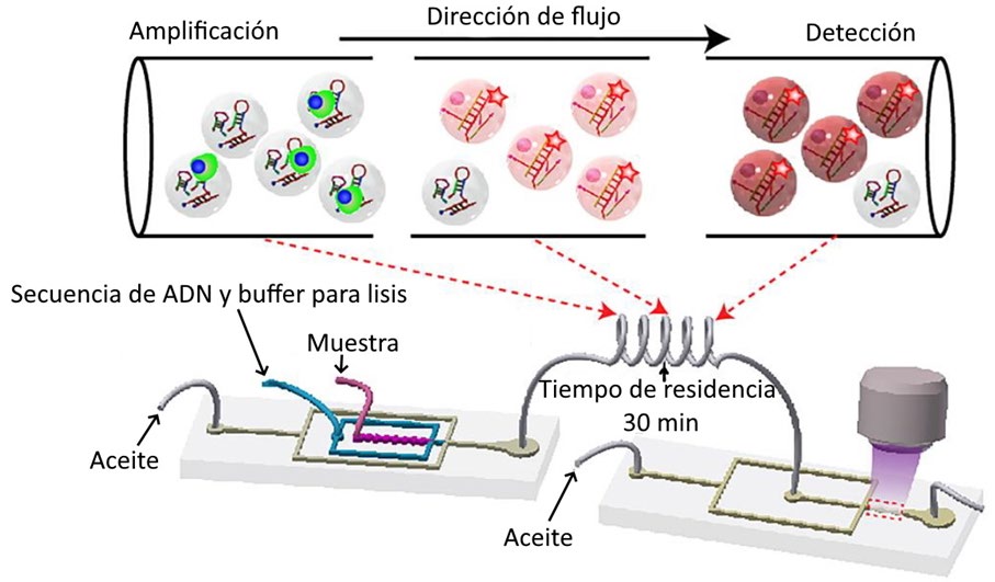 Figura 2.