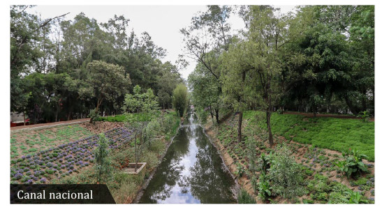 canal