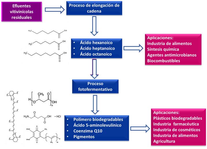 Figura 1. Proceso secuencial (elongación de cadena + fotofermentación) implementado por el LIPATA del Instituto de Ingeniería de la UNAM para el tratamiento de efluentes vitivinícolas residuales con la obtención de productos de alto valor agregado