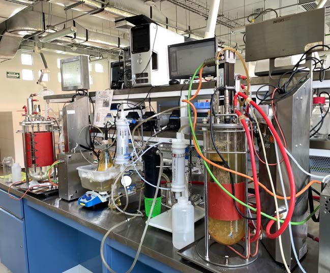 Figura 2. Sistema de producción de ACCM en continuo a partir de efluentes vitivinícolas acoplado con un sistema de extracción en línea