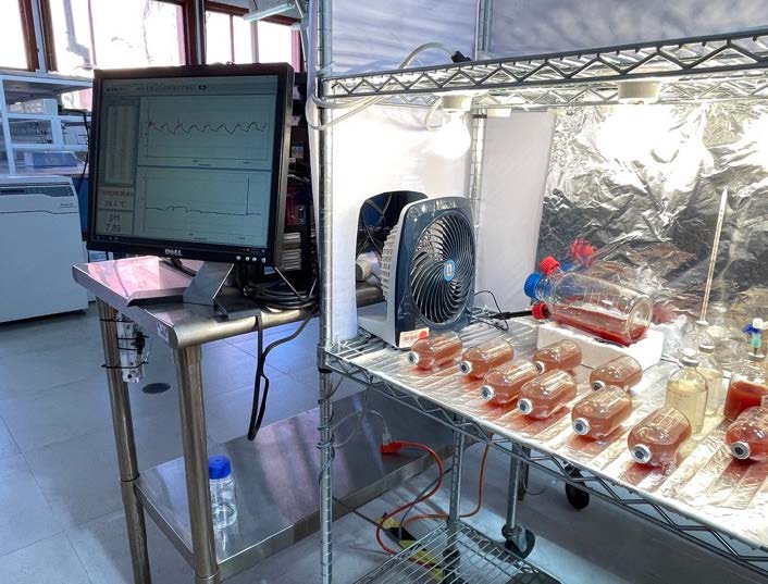 Figura 4. Producción de polihidroxialcanoatos con bacterias púrpura fototróficas