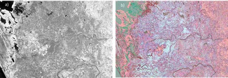 Figura 2. Transformaciones del mosaico 88-97_1993: a) NDVI y b) capa bordes