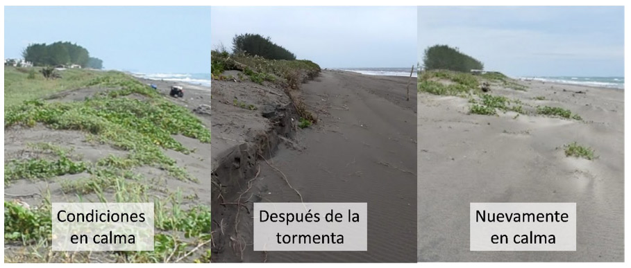 Evolución de las dunas costeras ante la ocurrencia