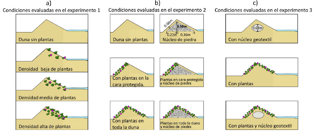 Figura 2. a) Canal de oleaje dividido para evaluar dos perfiles a la vez, y b) perfil de playa y duna