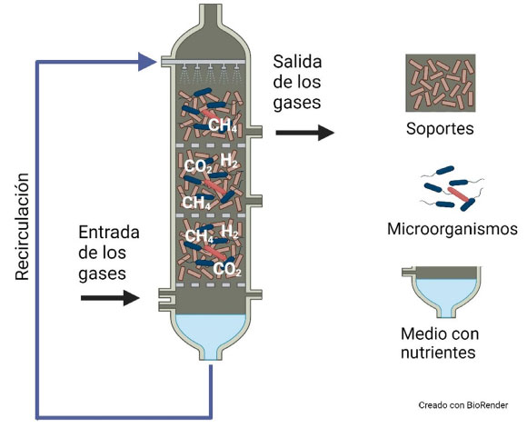 Figura 2. Esquema de un reactor filtro percolador