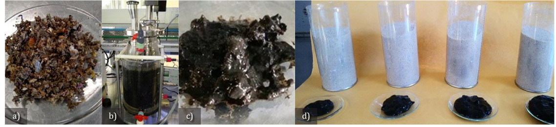 Figura 6. Experimento para mejoramiento de suelo: a) FORSU triturada; b) reactor: c) residuo digerido; d) componentes de arena y sustratos para incubaciones