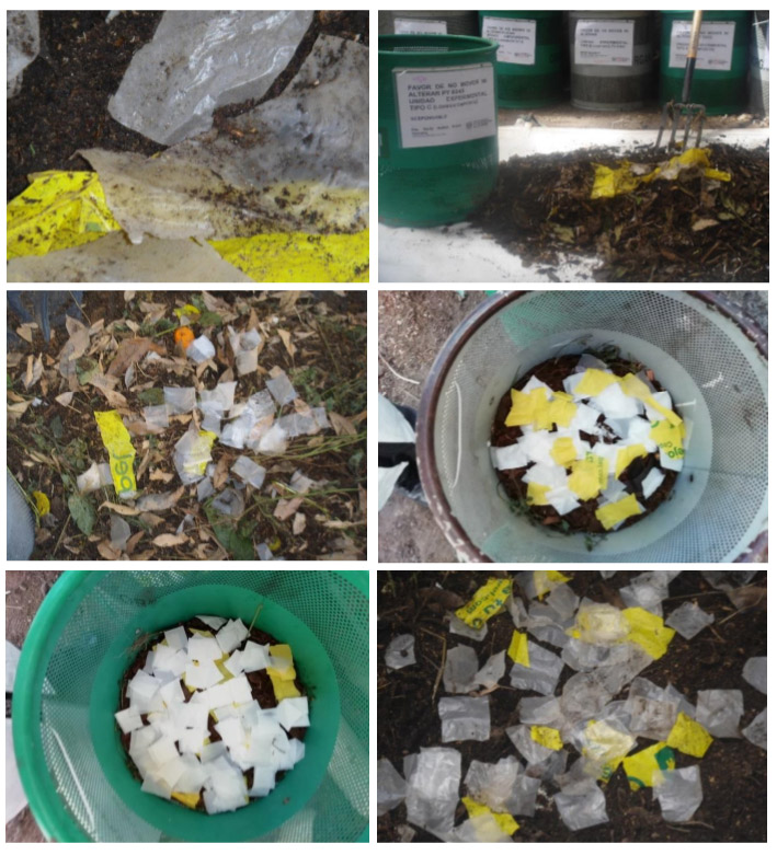 bioplasticos