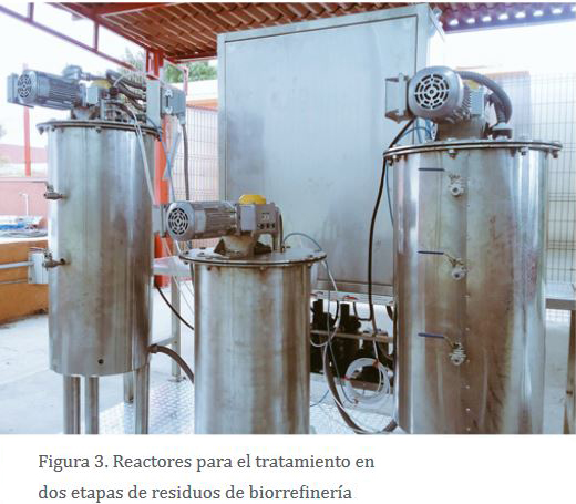 bioal_03.JPG