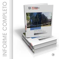 Informe
