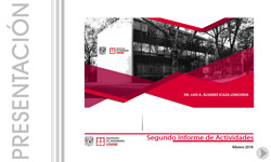 Informe